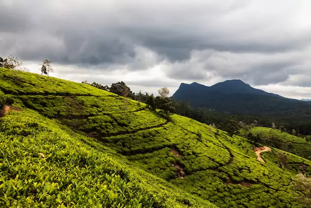 Kandy's Holiness: Enjoying Views of the Unforgettable Temple of the Tooth Relic